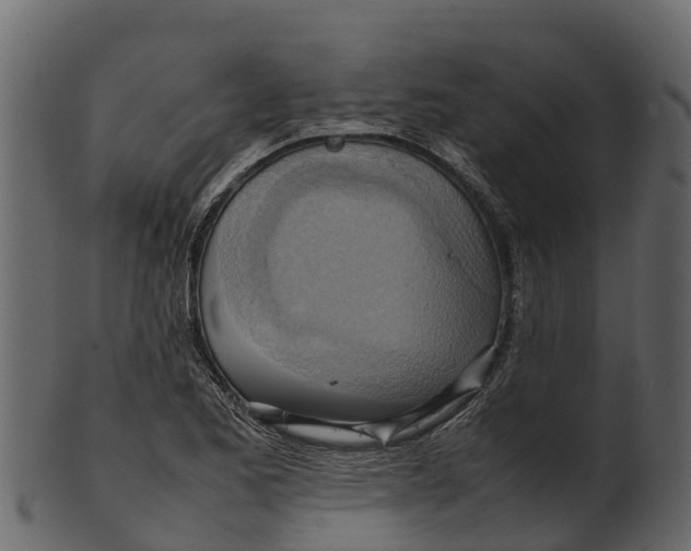 X0000100481173200807031844