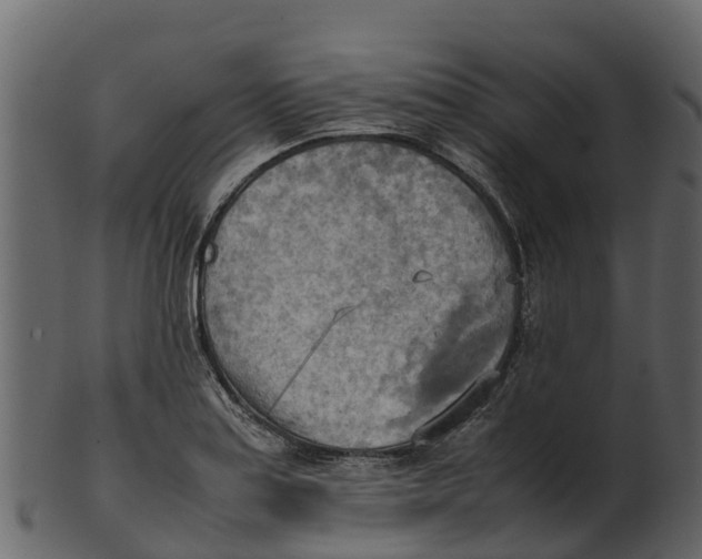 X0000100481179200807031844