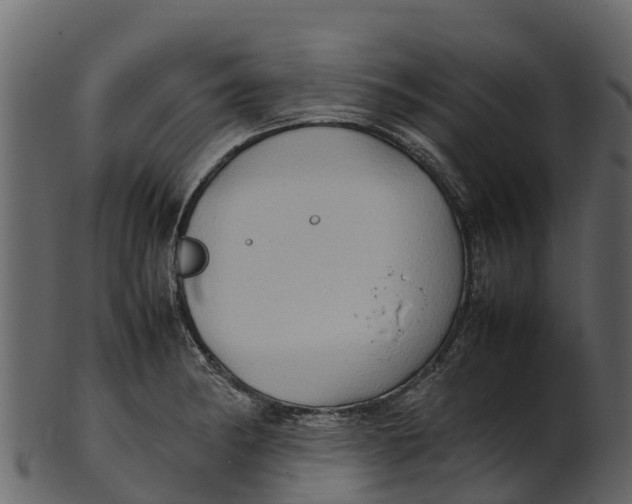 X0000100481182200807031844