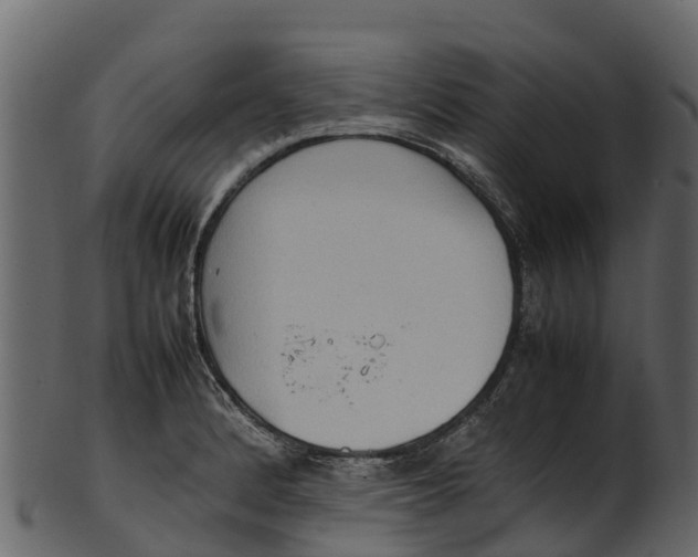 X0000100481184200807031844