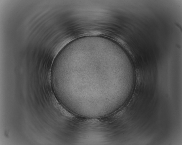 X0000100481186200807031844