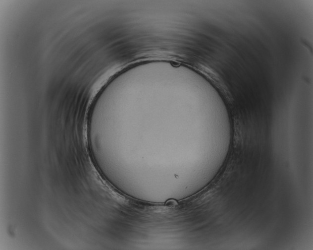 X0000100481188200807031844