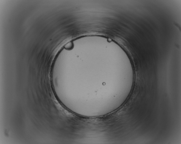 X0000100481189200807031844