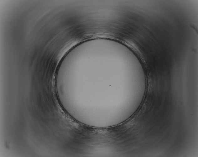 X0000100481190200807031844