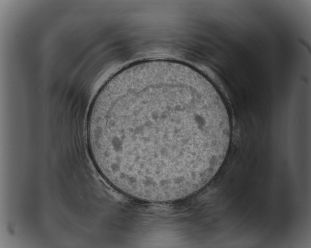 X0000100481191200807031844