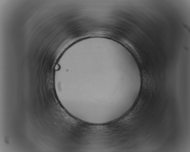 X0000100481192200807031844