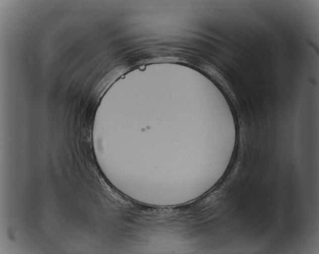 X0000100481193200807031844