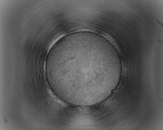 X0000100481198200807031844