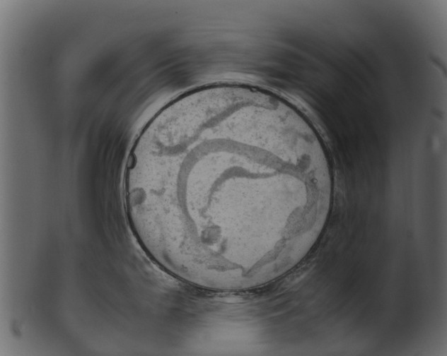 X0000100481199200807031844