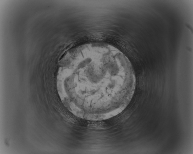 X0000100481201200807031843