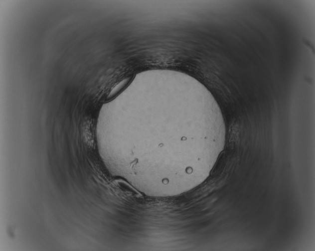 X0000100481202200807031843