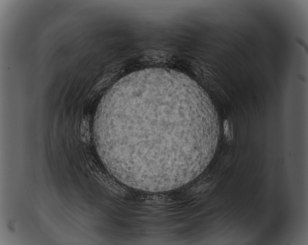 X0000100481203200807031843