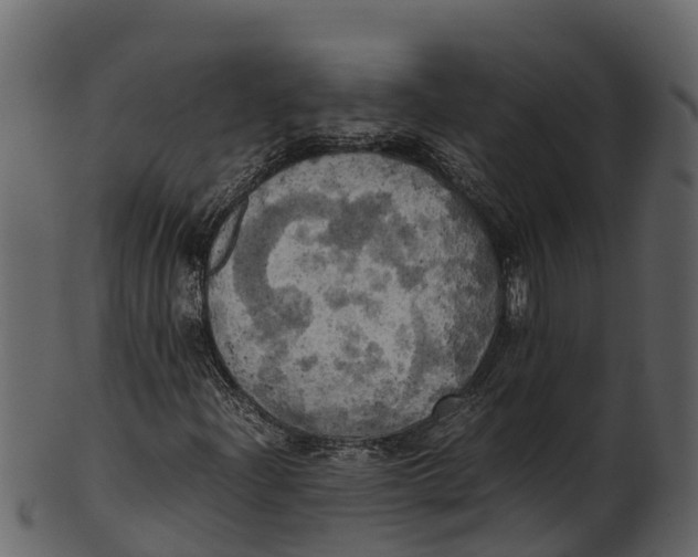 X0000100481204200807031843