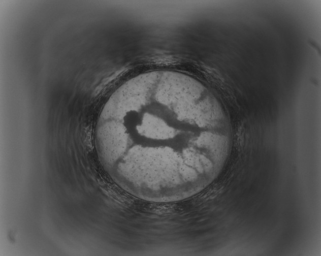 X0000100481205200807031843