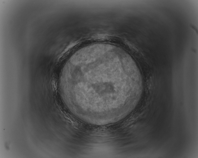 X0000100481206200807031843