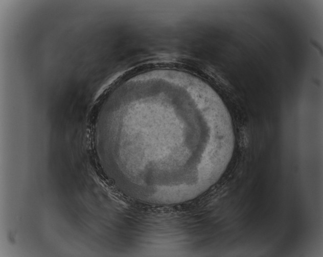 X0000100481208200807031843