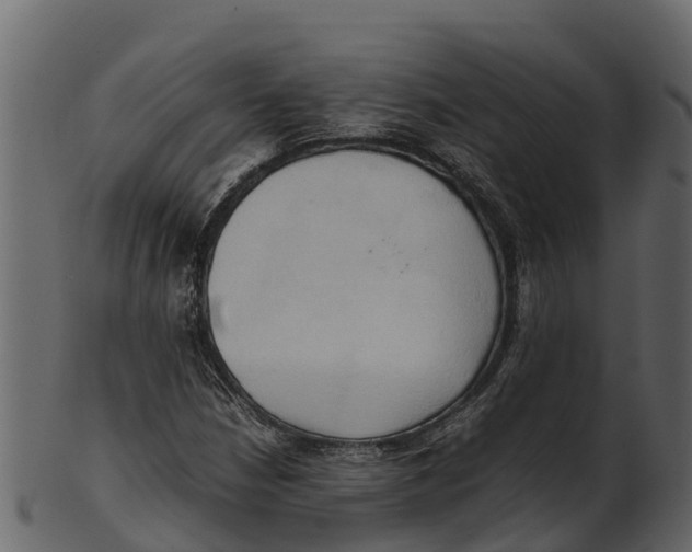 X0000100481210200807031843