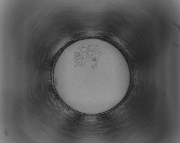 X0000100481211200807031843