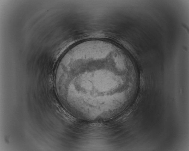 X0000100481212200807031843