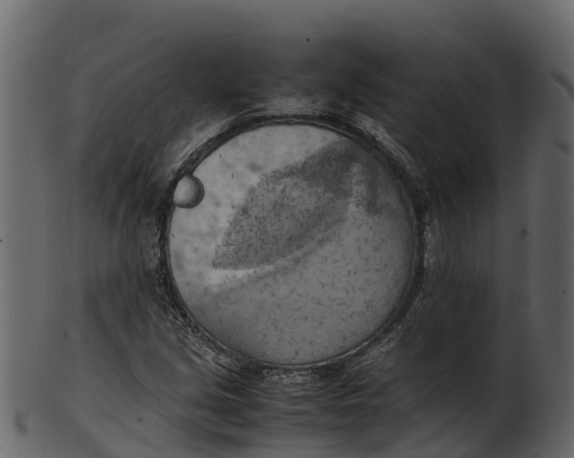 X0000100481213200807031843