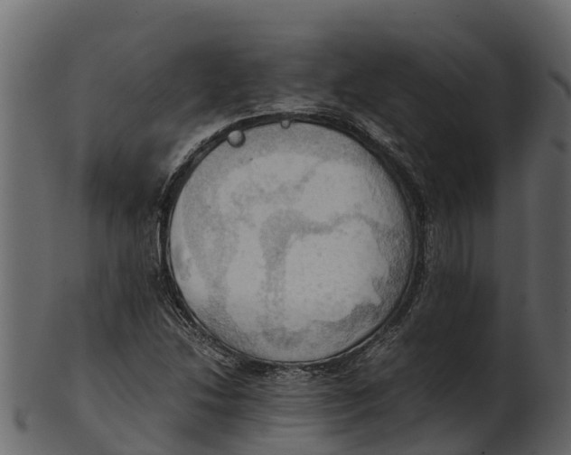 X0000100481214200807031843