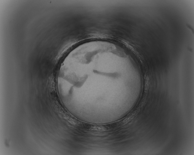 X0000100481215200807031843