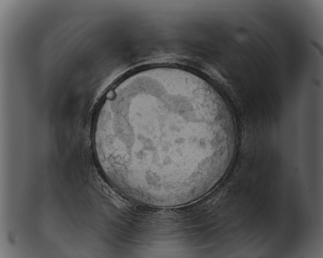 X0000100481216200807031843