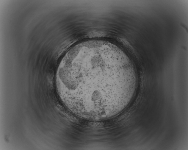 X0000100481217200807031843