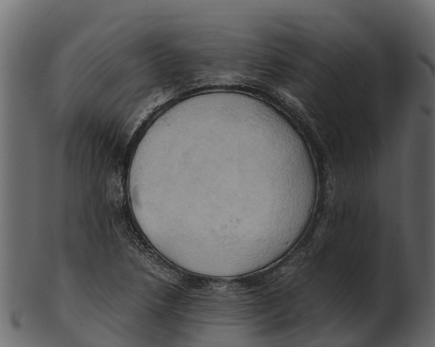 X0000100481218200807031843