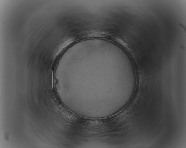 X0000100481219200807031843