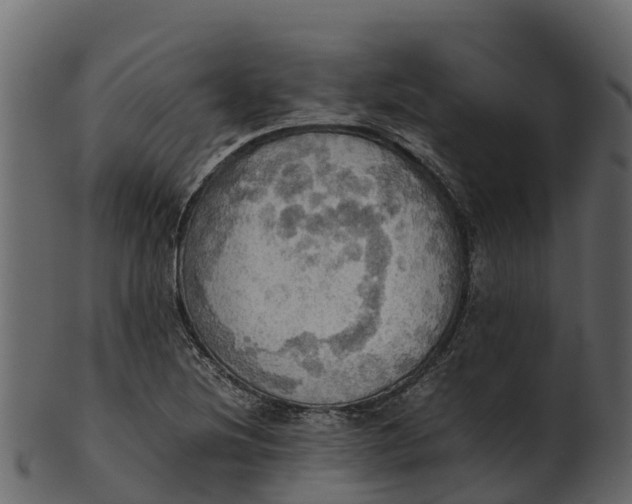 X0000100481220200807031843