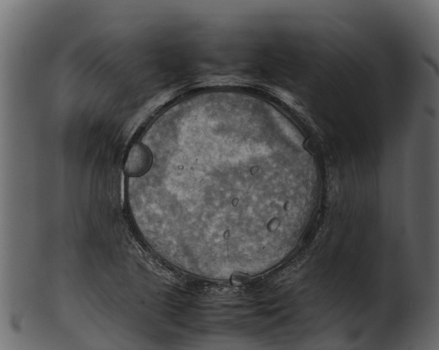 X0000100481221200807031843