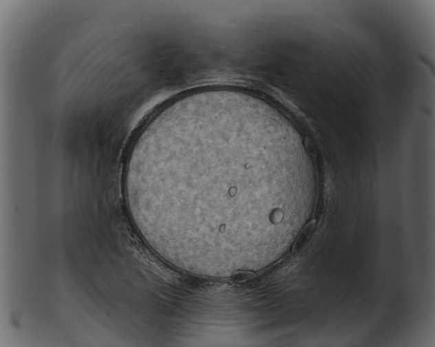 X0000100481222200807031844