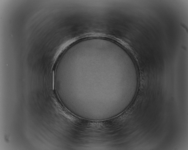 X0000100481223200807031844