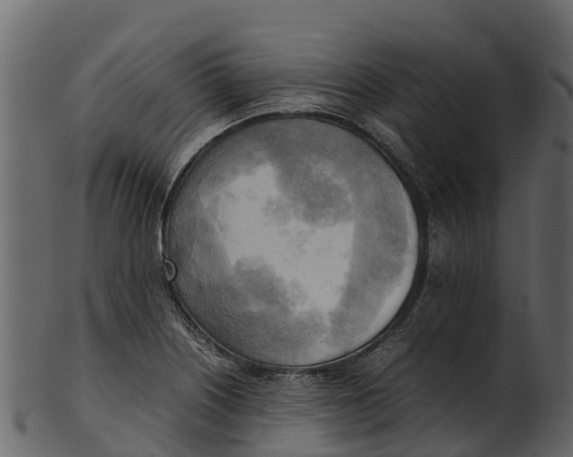 X0000100481226200807031844