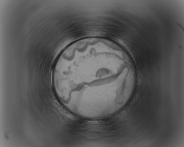 X0000100481227200807031844