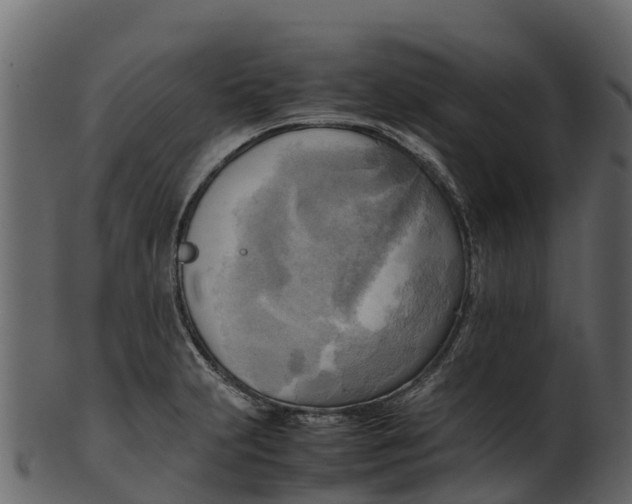 X0000100481231200807031844