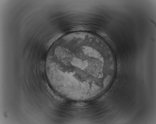 X0000100481233200807031844