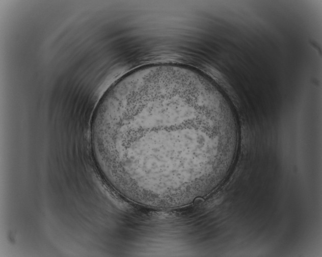 X0000100481234200807031844