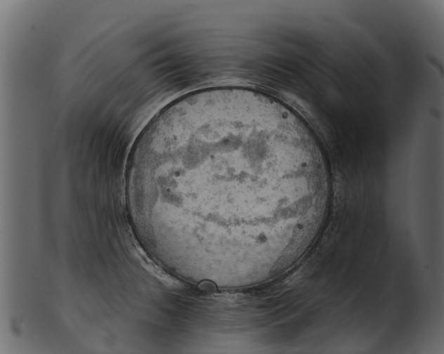 X0000100481236200807031844