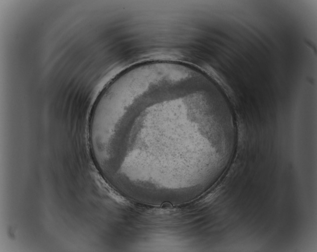 X0000100481240200807031844