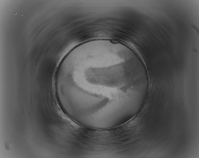 X0000100481243200807031844