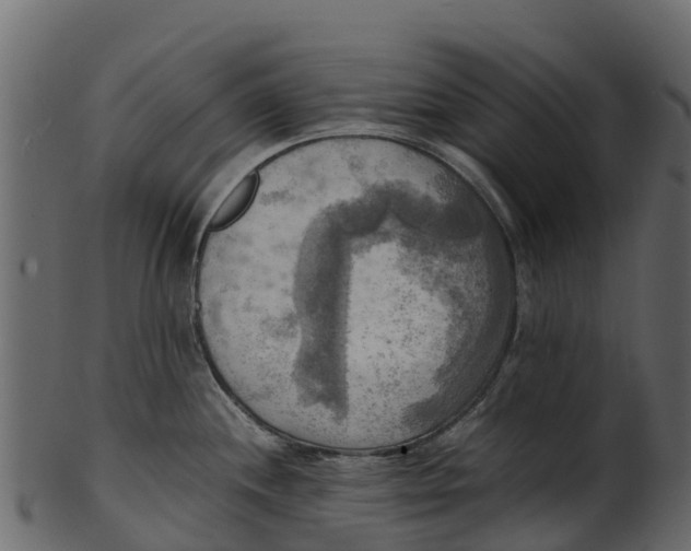 X0000100481244200807031844