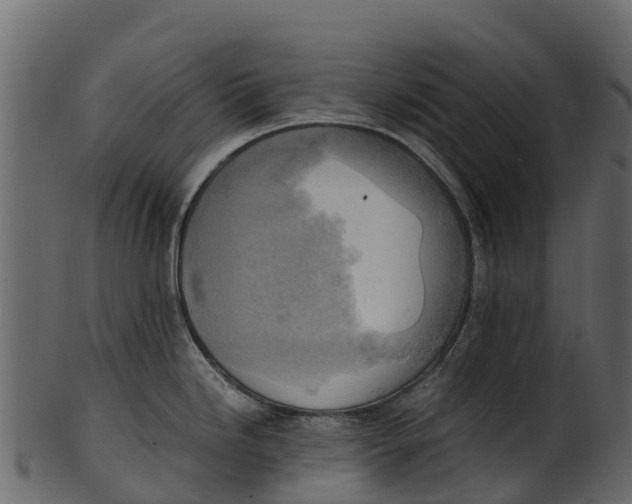 X0000100481246200807031844