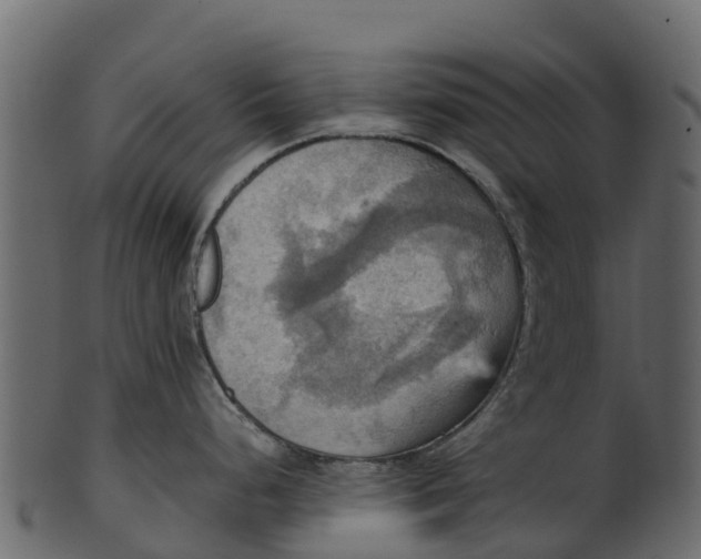 X0000100481248200807031844