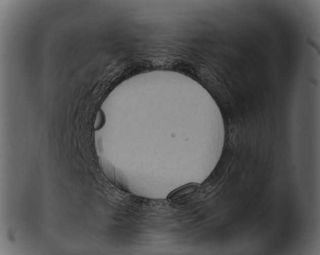 X0000100481249200807031843