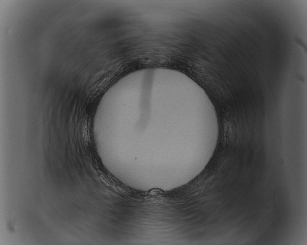 X0000100481250200807031843