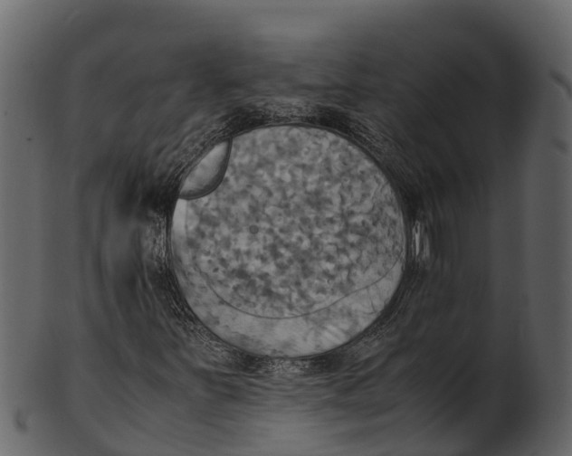 X0000100481251200807031843