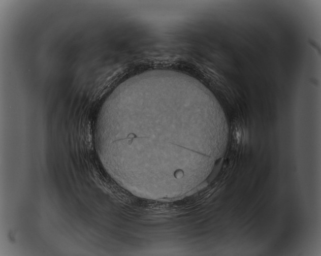 X0000100481252200807031843