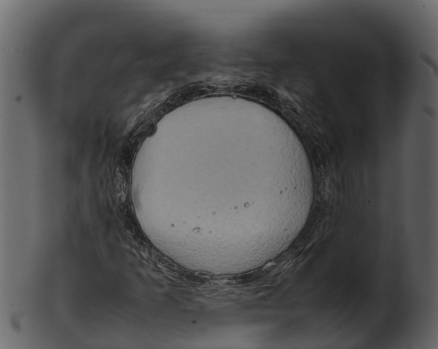 X0000100481253200807031843